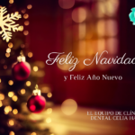 El equipo de Celia Haya te desea unas felices fiestas